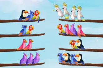 image bg Bird Sort Puzzle