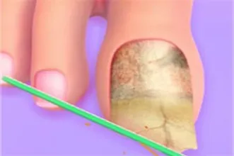 image bg Fashion Foot Shop