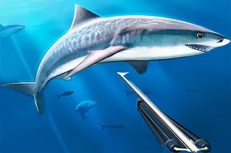 image bg Hunting underwater spearfishing